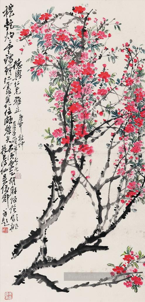 Wu cangshuo peachblossom Art chinois traditionnel Peintures à l'huile